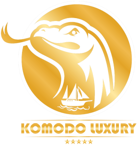 Komodo Luxury premium yacht charters and ultra-luxury Komodo National Park & Raja Ampat experiences by Juara Holding Group